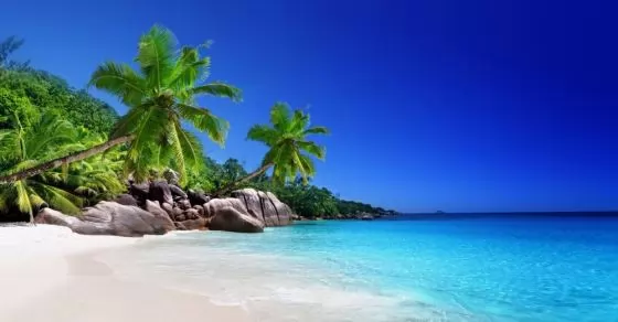 Нова година 2026 на Сейшелски острови